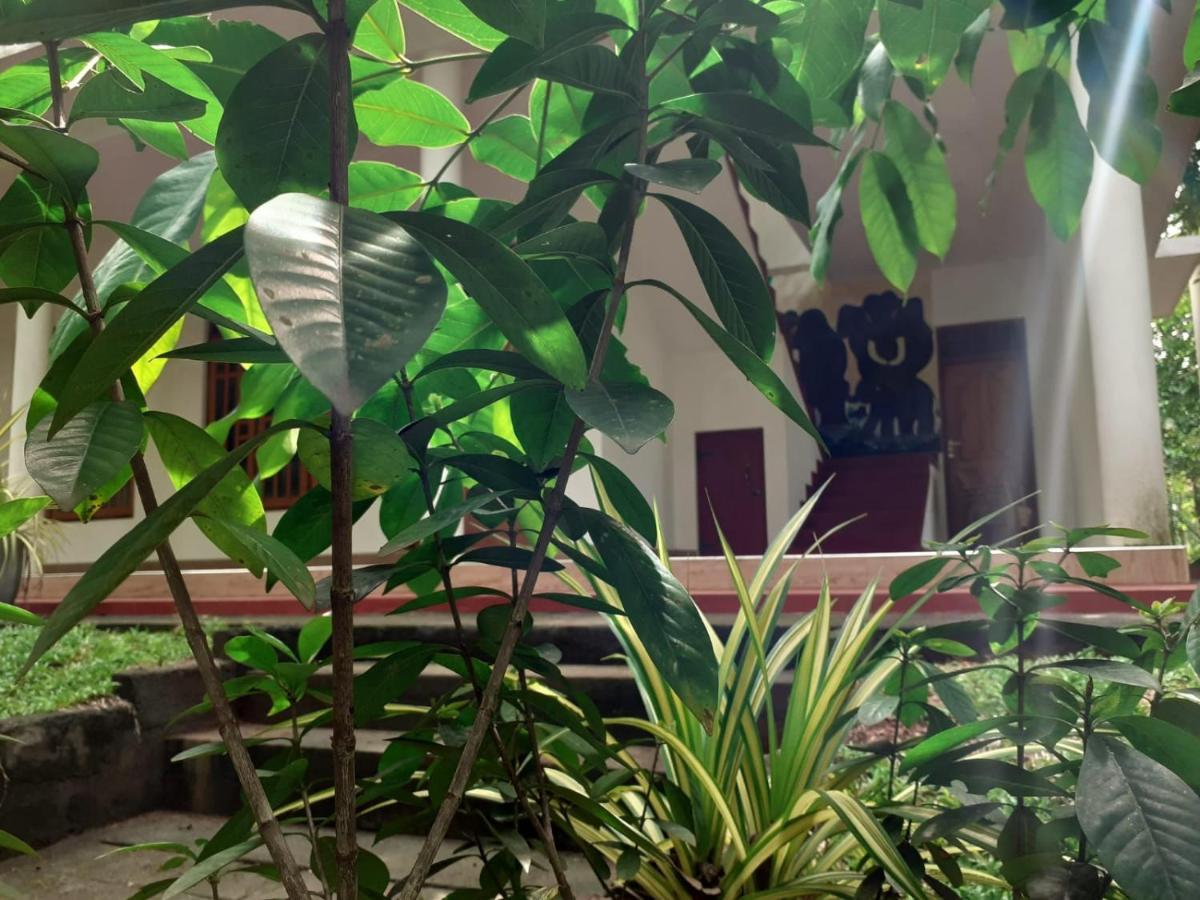 Yonara Green Rest Habarana Exterior photo