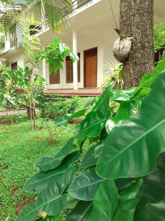 Yonara Green Rest Habarana Exterior photo